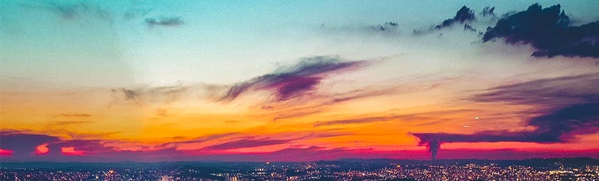 西双版纳茶虫网_西双版纳品茶